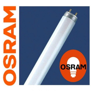 Лампа L 36W/765 OSRAM